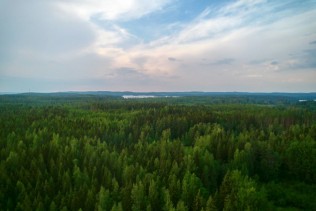 Metsä Board updates its strategic 2030 sustainability targets